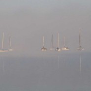 Segelboote im Morgennebel