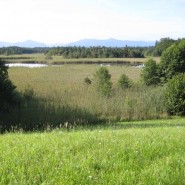 Hochmoorlandschaft Osterseen